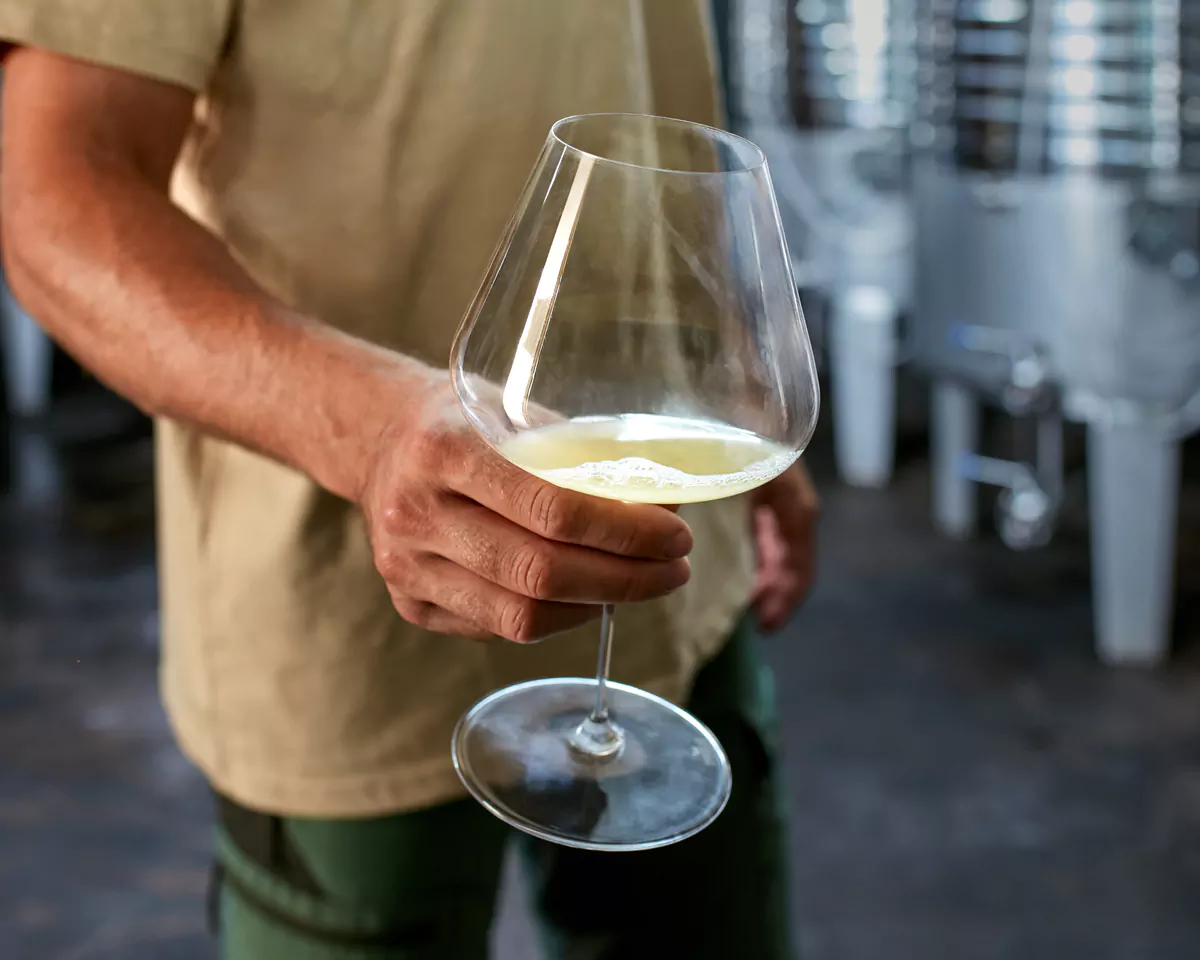 Una copa de vino blanco en la mano, entre los depósitos